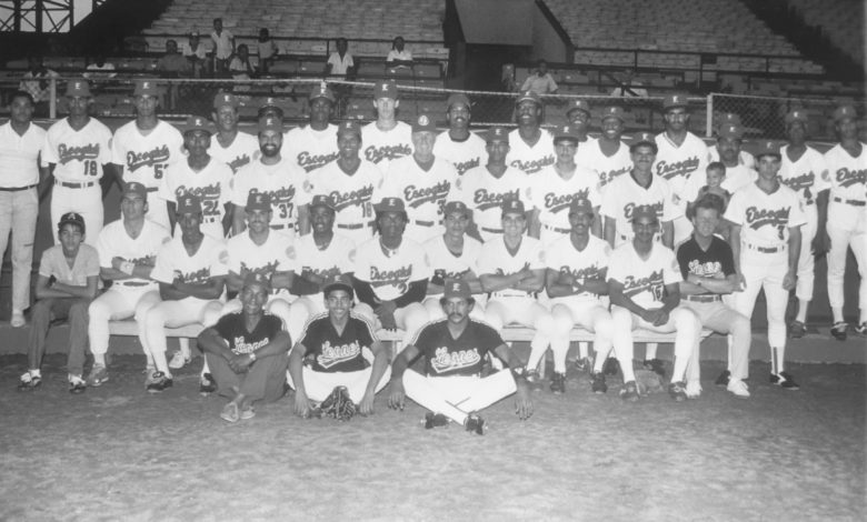 The 1988 Leones del Escogido of Santo Domingo were the D.R. national champions and Caribbean Series winners.

